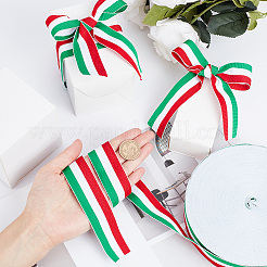 Полиэстер Grosgrain ленты&nbsp;SRIB-WH0009-02A