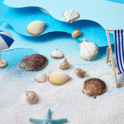 12 шт. 6 подвески в виде ракушек DIY-CD0001-39