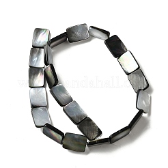 Нити бусин из натуральной черной ракушки для губ BSHE-D300-03-13x18mm