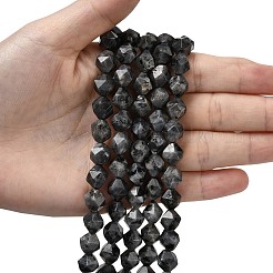 Натуральные нити бус из ларвикита G-Z119-A32-03