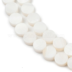 Нити бусин из натуральных пресноводных ракушек SHEL-K010-03