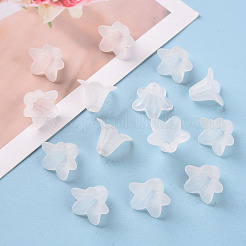 Прозрачные акриловые бусины PLF018-01