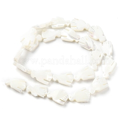 Нити бусин из натуральных трохоидных/трохус ракушек SSHEL-R145-05