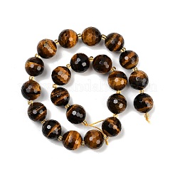 Природных тигровый глаз бисер нитей G-C249-A19-16mm