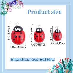 30шт 3 стиля непрозрачные подвески из смолы&nbsp;RESI-ME0001-39