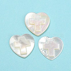 Природные кабошоны с морской раковиной SHEL-D079-18