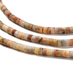 Природные сумасшедший агат бисер нитей G-P575-B37-4x2mm