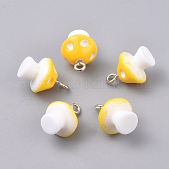 Пластиковые подвески&nbsp;KY-TAC0005-04B