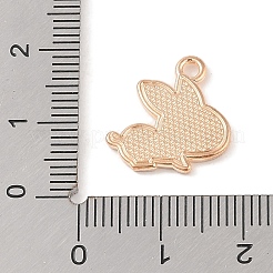 Подвески из эмали и сплава&nbsp;ENAM-Z010-11B-KCG