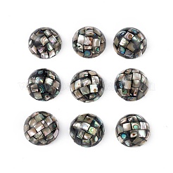 Бусины из синтетической раковины морского ушка / пауа SSHEL-K001-001A