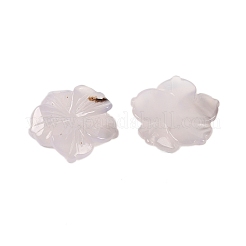 Резные подвески из натурального серого агата&nbsp;G-B097-01A-05