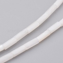 Природные оболочки нитей бисера X-BSHE-P017-03