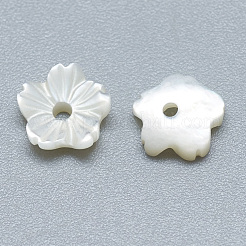 Натуральные белые бусины из ракушек SSHEL-S260-011