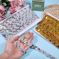 2 рулон двухцветной полиэстеровой ленты с бахромой и пайетками&nbsp;OCOR-GL0001-34