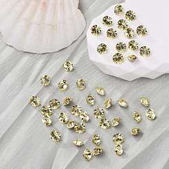 Preciosa® maxima кристалл круглые камни&nbsp;LS-Y-PRC-RBSS29-80100