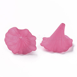 Прозрачные акриловые бусины&nbsp;BSF796-C16