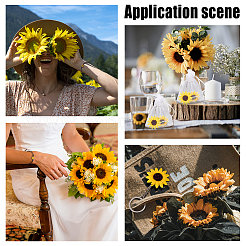 Подвески-соединители из цинкового сплава и брелок из железной смолы DIY-PH0008-31