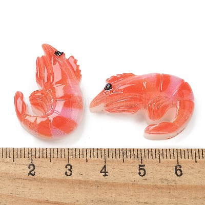 Кабошоны из смолы RESI-R456-04A-1