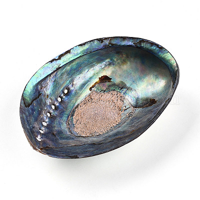 Бусины из натуральной ракушки пауа&nbsp;SSHEL-Q298-22-1