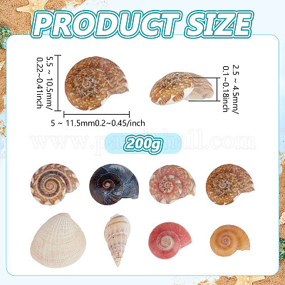 Спиральные бусины из ракушек SSHEL-PH0002-34-1