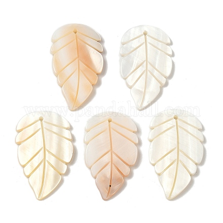 Резные подвески из натуральных пресноводных ракушек SHEL-K006-54D-1
