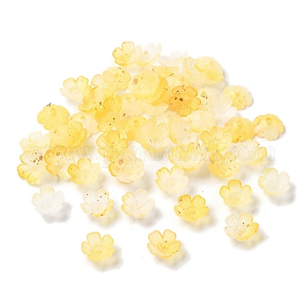 Акриловый шарик крышки OACR-Z028-03D-1