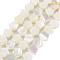 Natural Trochid Shell/Trochus Shell Beads Strands, Flower, White, 7.5x8x3mm, Hole: 0.8mm, about 50pcs/strand, 15.35 inch~15.75 inch(39cm~40cm)