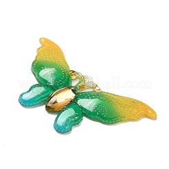 Подвески из смолы градиентного цвета&nbsp;RESI-Q012-03F