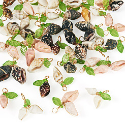 48 шт. 8 стиля подвески в форме ракушки из натуральной медной проволоки PALLOY-TA00260