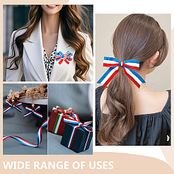 20 м полиэстеровые полосатые эластичные шнуры SRIB-WR0001-13