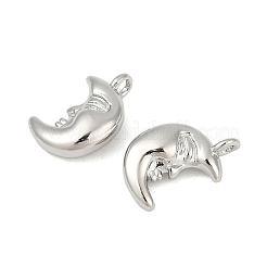 Латунь подвески&nbsp;KK-S527-14P