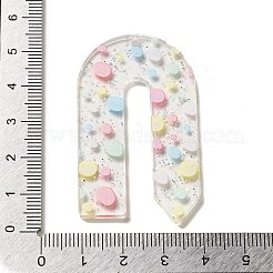 Акриловые подвески OACR-H113-01G