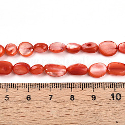 Нити бусин из натуральной белой ракушки SHEL-N036-21F