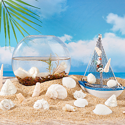 Натуральная оболочка для изготовления наполнителей для ваз для аквариума&nbsp;DIY-WH0002-98