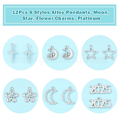 Подвески из сплава 12 шт. FIND-FS0003-38P