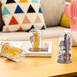 Стеклянный купол DJEW-BC0001-20