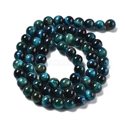 Природных тигровый глаз бисер нитей&nbsp;X-G-B133-A02-6MM-07