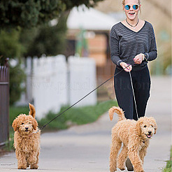 2 шт. 2-цветный удлинитель для поводка для собак из стальной проволоки с защитой от жевания&nbsp;AJEW-GO0001-39