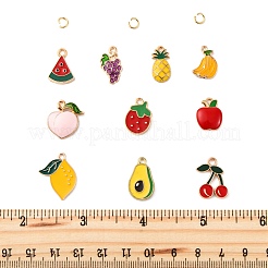 40шт 10 стиля подвески из сплава с эмалью&nbsp;ENAM-FP0002-06