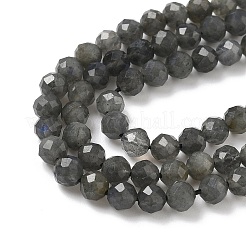 Природные лабрадорита бисер нитей&nbsp;LS-G-L622-C03-4mm