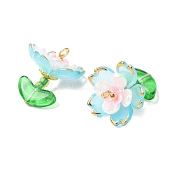 Прозрачные акриловые подвески&nbsp;PALLOY-MZ00823-03