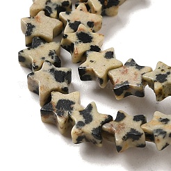 Природные яшмы далматин бисер нитей G-G085-B13-02