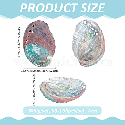 500 г натуральных ракушечных бусин SSHEL-PH0001-38