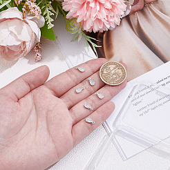 6шт. подвеска из стерлингового серебра 925 пробы с родиевым покрытием&nbsp;STER-PH0003-36