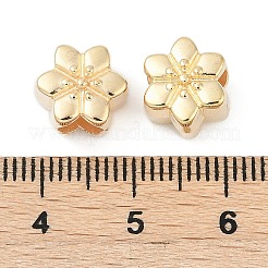 Ccb пластиковые европейские бусины CCB-D278-17G