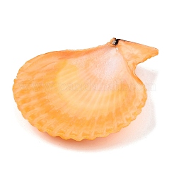 Подвески из натуральной неокрашенной ракушки гребешка большие SHEL-T020-01