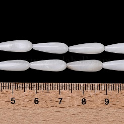 Нити бусин из натуральных пресноводных ракушек SHEL-A004-03