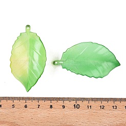 Акриловые большие подвески градиентного цвета OACR-N137-30