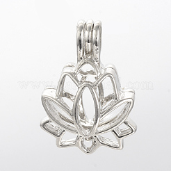 Подвески сплава медальон X-PALLOY-S062-40P