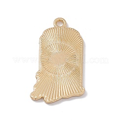 Кулон эмали сплава&nbsp;LS-FIND-H040-01A